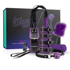 BDSM набор Secret Pleasure Chest - Purple Apprentice