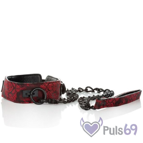 Ошейник с поводком Scandal Collar with Leash