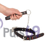 Ошейник с поводком  Bad Kitty Collar and Leash