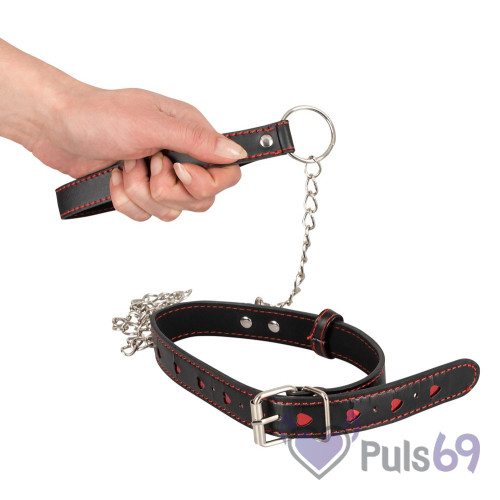 Ошейник с поводком Bad Kitty Collar and Leash Ошейник с поводком Bad Kitty Collar and Leash
