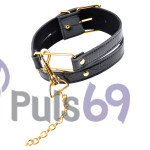 Ошейник Pipedream Fetish Fantasy Gold Collar & Leash