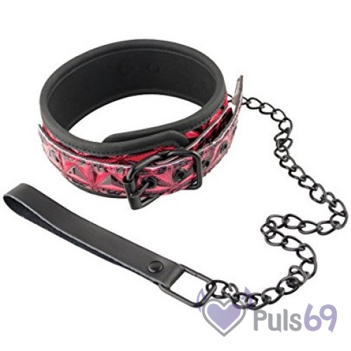 Элегантный ошейник с поводком NS Novelties Sinful Collar
