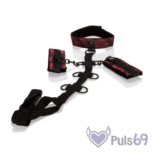 Набор для бондажа Scandal Collar Body Restraint